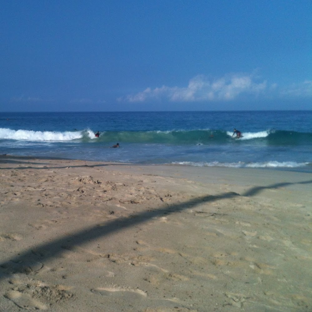 Meet your Posher, Selaima